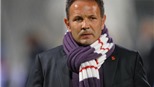 Fiorentina khủng hoảng, sớm trảm Mihajlovic?